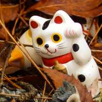 A Maneki-neko on Tashirojima island